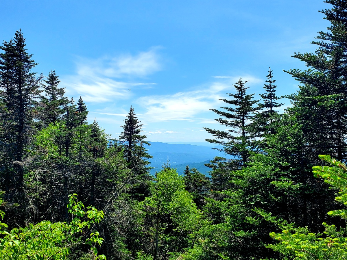 The Tallest Mountain: Mt. Mansfield and the Long Trail
